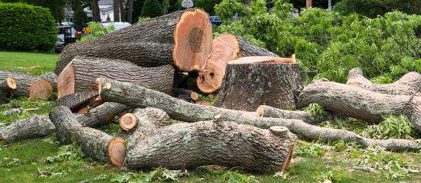  Centreville, AL Tree Services Pros